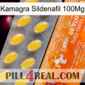 Kamagra Sildenafil 100Mg new05